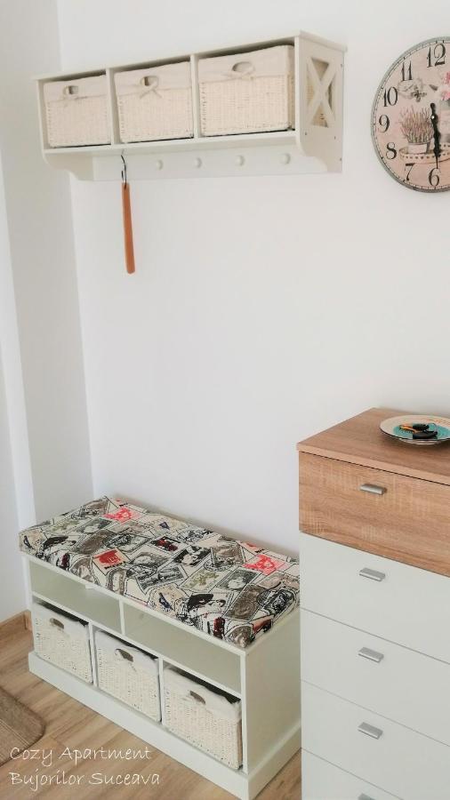 Cozy Apartment Bujorilor Suceava Exterior photo