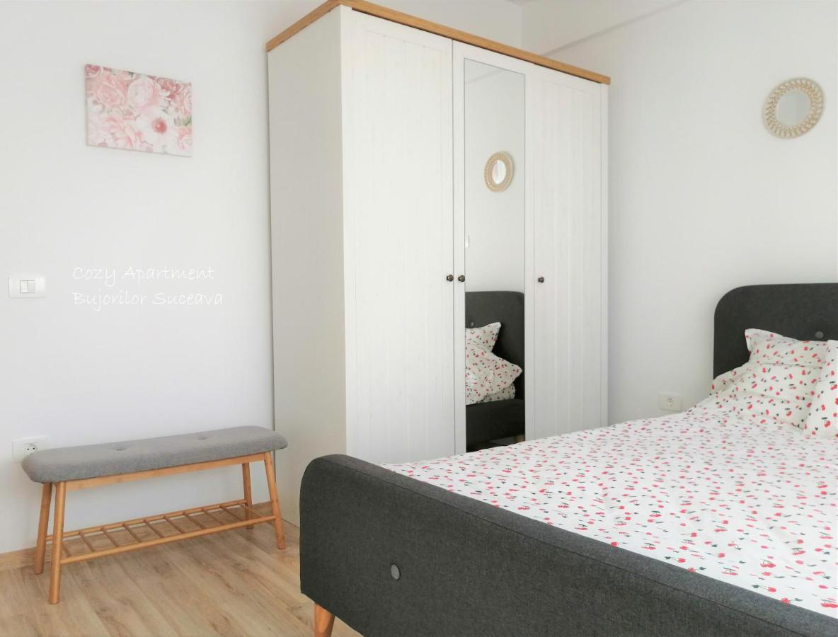 Cozy Apartment Bujorilor Suceava Exterior photo