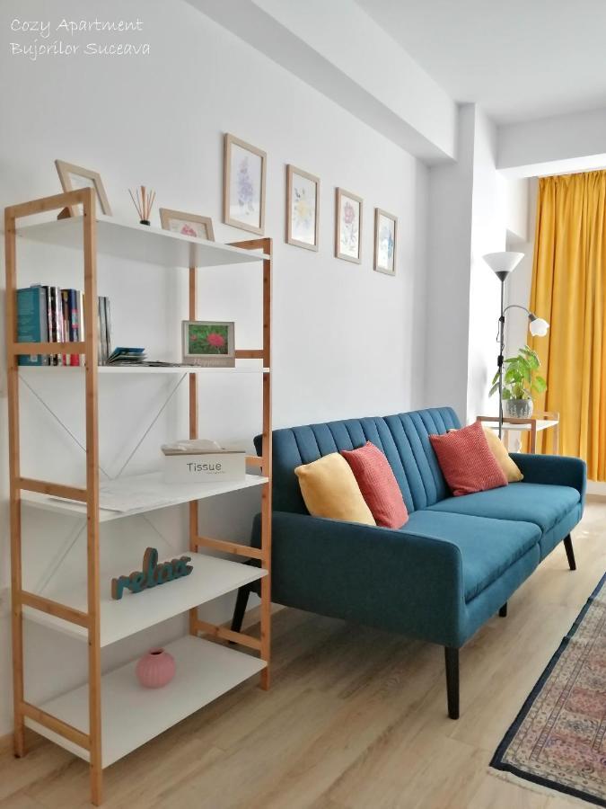 Cozy Apartment Bujorilor Suceava Exterior photo